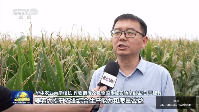海外古籍之,中国古籍收,藏终极指南,大众彩票,彩票平台,精准分析,彩票投注,在线购彩