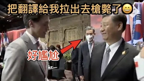 王楚钦在亚洲杯乒乓球赛中战胜科兰尼